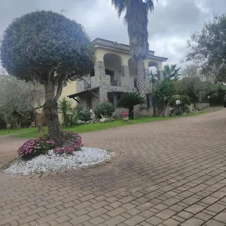 Ulivo A2 *