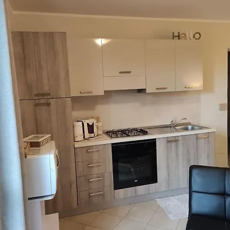 Ulivo A2 * Sassari
