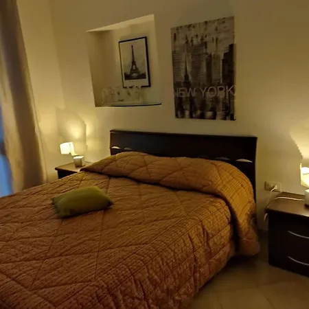 Ulivo A2 Sassari