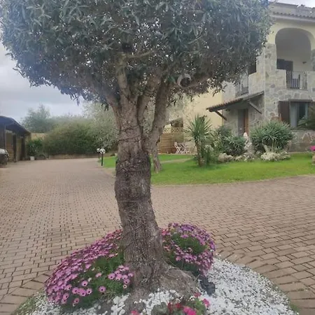 Ulivo A2 Apartmán *